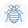 Bed Bug Extermination In Bearsden