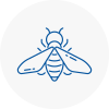 Bee Nest Removal Bearsden